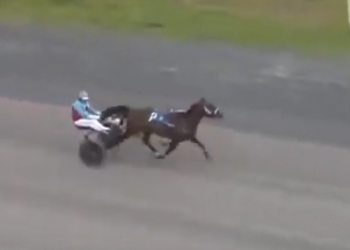 Fall Bliss delightful for Downey