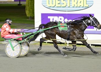 Gloucester Park preview