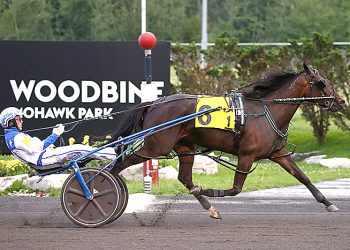 McNair, MacDonald share Grassroots honours