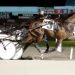 Trotters on fire in Ohio Sires Stakes