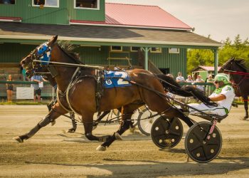 Southwind Ricardo upsets Johnnie Jack