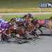 Delightful addition to Menangle racing 2 Mare crowned QLD Horse of the Year