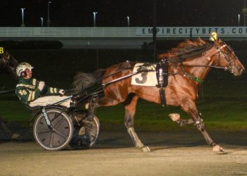 Winless colt & fillies last year now Hambo headliners