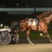 Yonkers Trot goes to Johan Palema