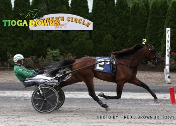 NYSS divisions to Chapter Seven offspring