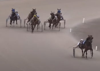 Kashe crushes Clinton competition