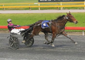 Weekly spotlight on breeding