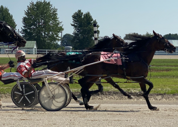 Life Is Better fights to Houston Memorial win