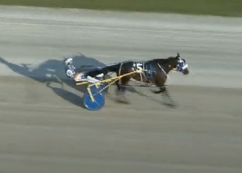 Love That Smile shines in Battle elims