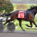 Luca Hanover leads rookie trotting colts