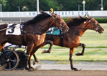 Mazzarati aims for New York New York Mile