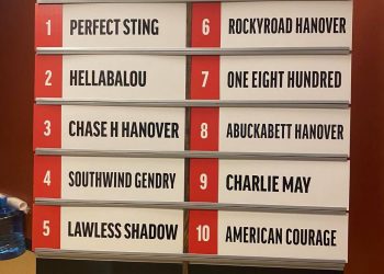 Morning line set for Meadowlands Pace