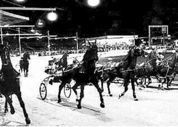 Hopes of harness racing returning to Melbourne Showgrounds