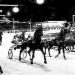 Hopes of harness racing returning to Melbourne Showgrounds 4 Hopes of harness racing returning to Melbourne Showgrounds