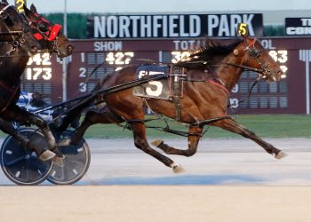 National Season’s records set in Ohio Sires Stakes