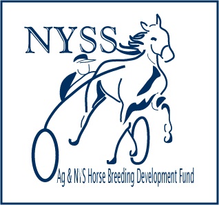 NYSS action returns to Monticello Raceway - Harnesslink