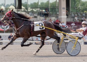 Adios elims complete at The Meadows