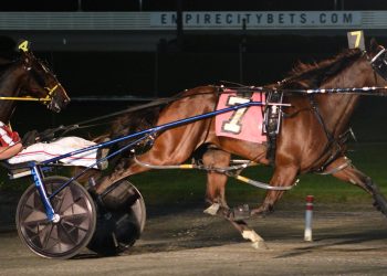 Colts face off in Springfield Stakes elims