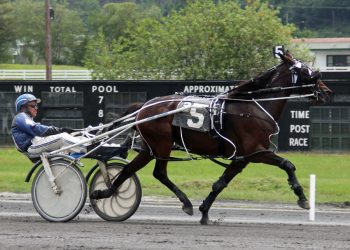 Five star performance by Merton