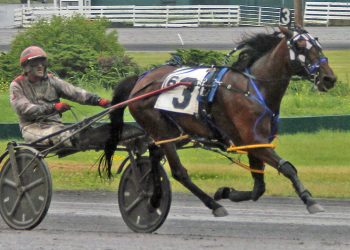 Tempra Hanover leaves it all on the track