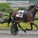Tempra Hanover leaves it all on the track