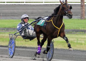 Er Sophia brushes aside Open opponents