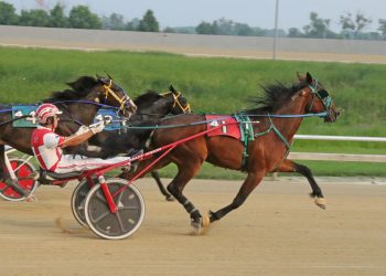 Hearduwhispermynam takes Aces features