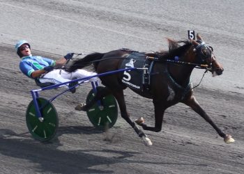 Ramona Hill heads $400,000 Hambo Maturity