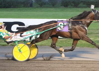 Reynolds next stop on road to Hambletonian