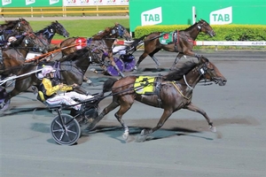 Trainer has a quest to find the next Maori’s Idol