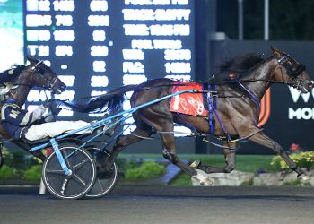 Saltwater Savage impresses in Grassroots