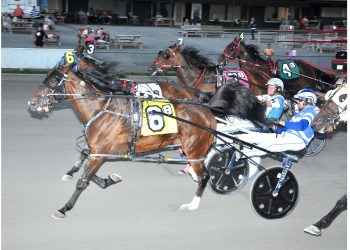 Co-features to Barn Hall, Sheer Talent