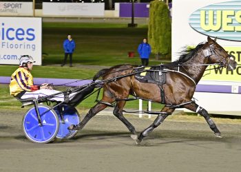 Weekly spotlight on breeding