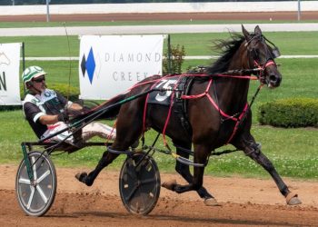 Single Girl caps Jerrell’s 4-win day