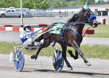 2YO’s getting attention in Future Stars Series