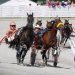 Red Shores marks 135 Years on Canada Day