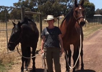 ‘Gift horse’ Glady a rare blessing