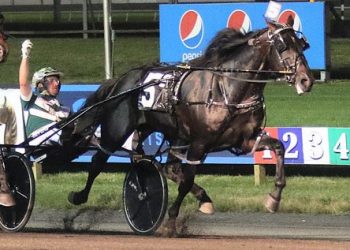 First crop sires headline PASS at The Meadows