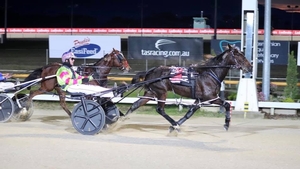 Tasmanian harness highlights