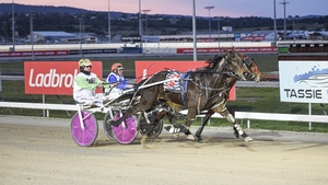 Tasmanian harness highlights