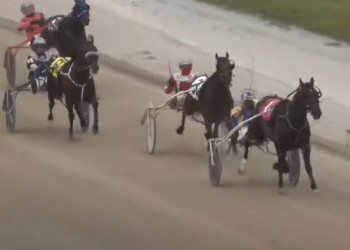 The Loan Ranger golden at Dresden