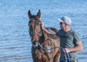 Alchin to make a splash with Tough Monarch