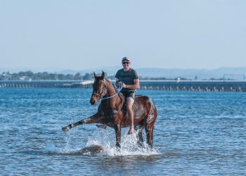 Alchin to make a splash with Tough Monarch