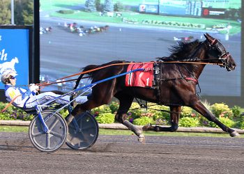 Twin B Archie dominates on Gold debut