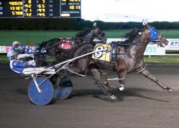 Captain Kirk to stand stud in 2024 in Ohio