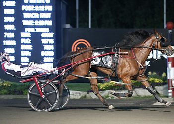 $202,000 Gold Series action