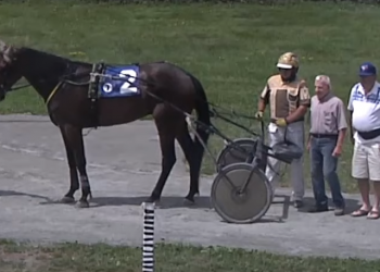 Wind Blown knocks down fourth straight field