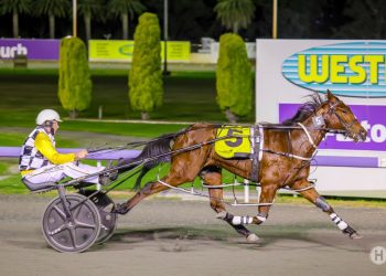 Gloucester Park review