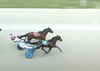 Words Escape Me leaves bettors speechless