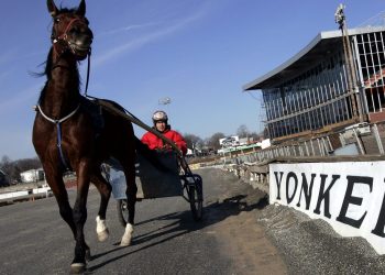 $150,000 Springfield Stakes posts drawn